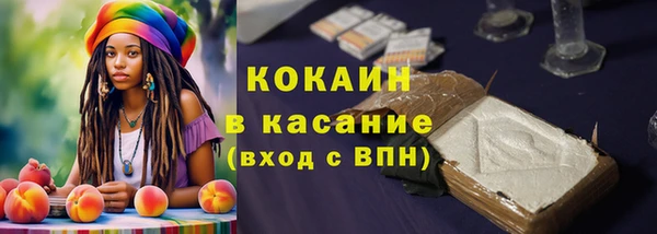 гидра Инсар