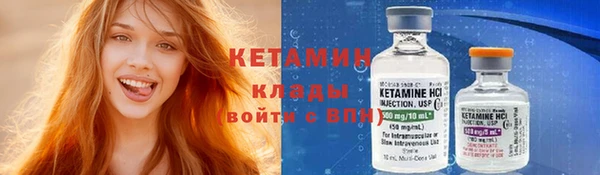 твердый Ельня