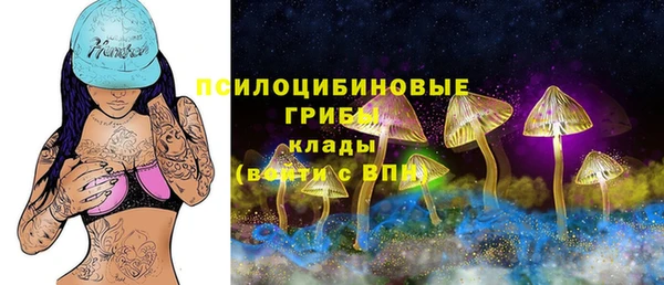 СК Нефтекумск