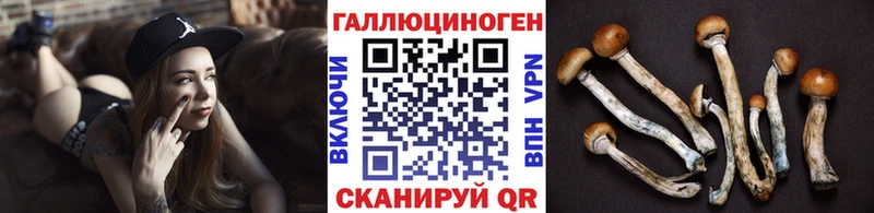Псилоцибиновые грибы GOLDEN TEACHER  Верхняя Салда 