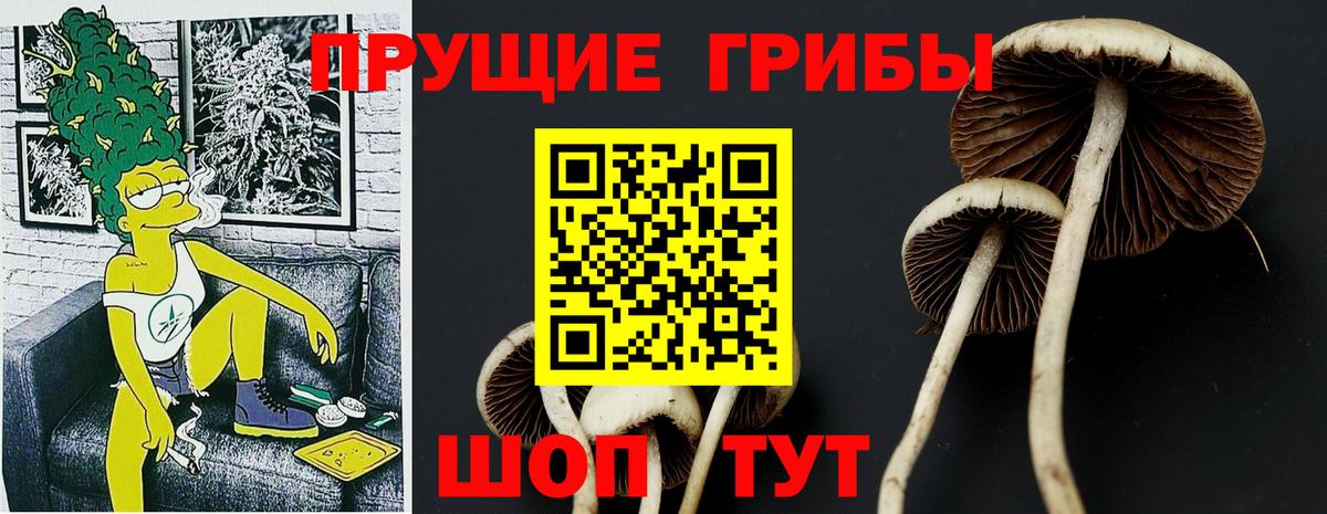 Галлюциногенные грибы мухоморы  Верхняя Салда 