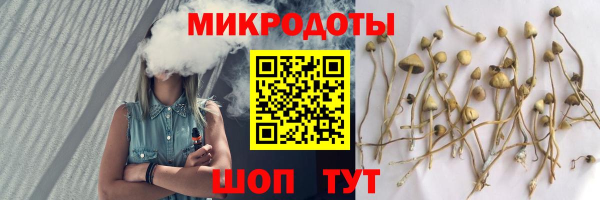 Псилоцибиновые грибы Psilocybe Верхняя Салда