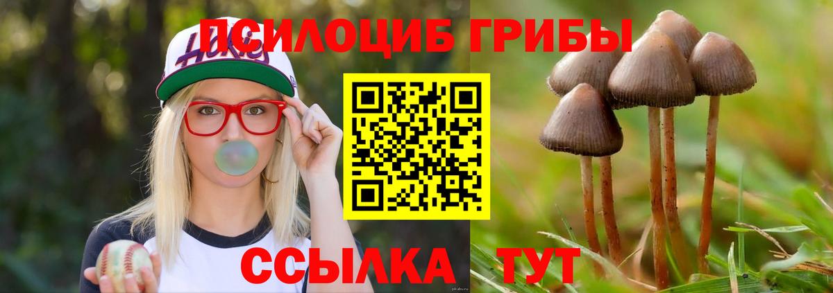 Галлюциногенные грибы Magic Shrooms Верхняя Салда